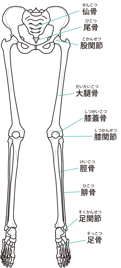 当院の膝関節症への対処法とは?