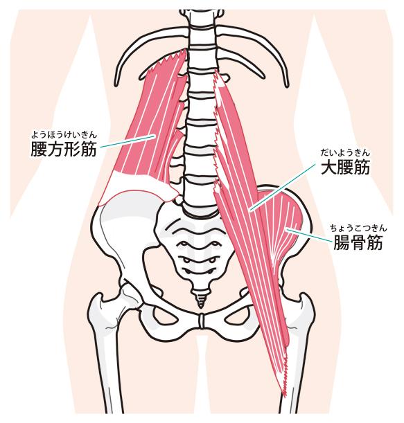 腰椎椎間板ヘルニアへの当院のアプローチは?