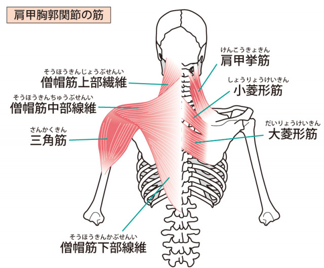 頸肩腕症候群への当院のアプローチは?