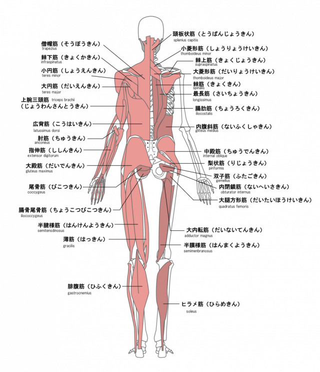 背中 痛い 産後 が 【産後から腰・背中が痛い、半年前から肩こり】：いなべ市の40代女性のお悩み｜ソフト整体院いなべ【いなべ市で骨盤と首の歪みから自律神経を整えます】