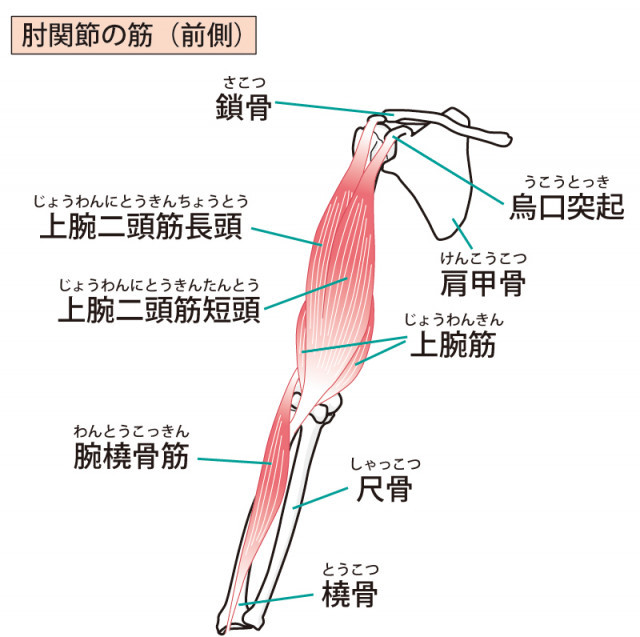 ゴルフ肘への当院のアプローチは?