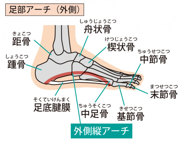 外反母趾へのアプローチ